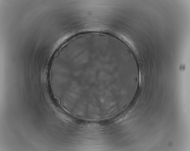 X0000091460483200709061759