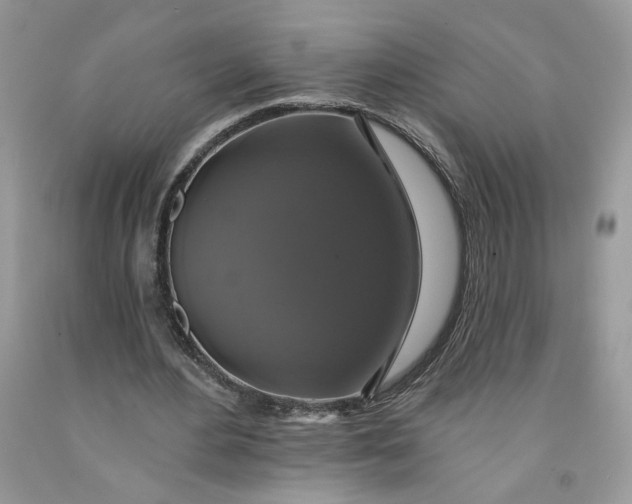 X0000091460484200709061759