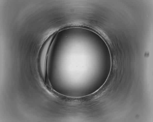 X0000091460485200709061759