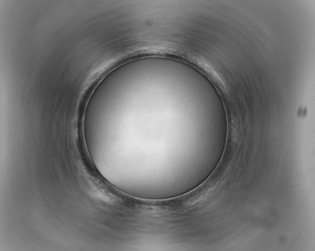 X0000091460486200709061759