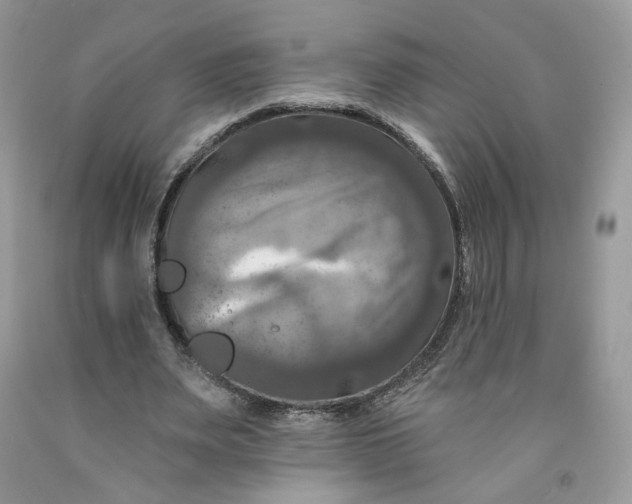 X0000091460487200709061759
