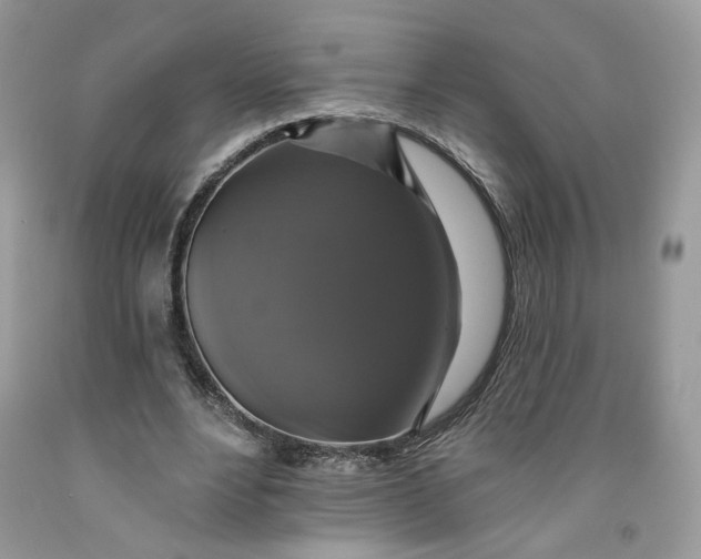 X0000091460488200709061759