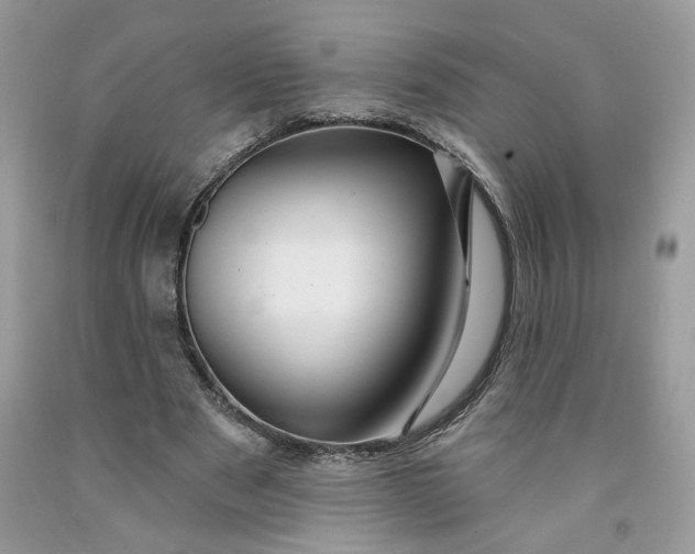 X0000091460489200709061759