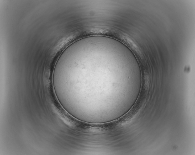 X0000091460490200709061759