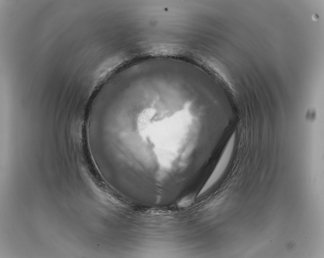 X0000091460491200709061759