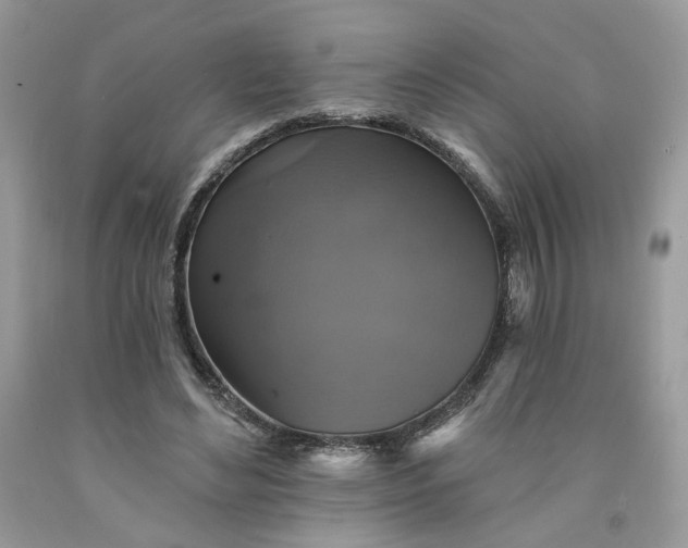 X0000091460492200709061759