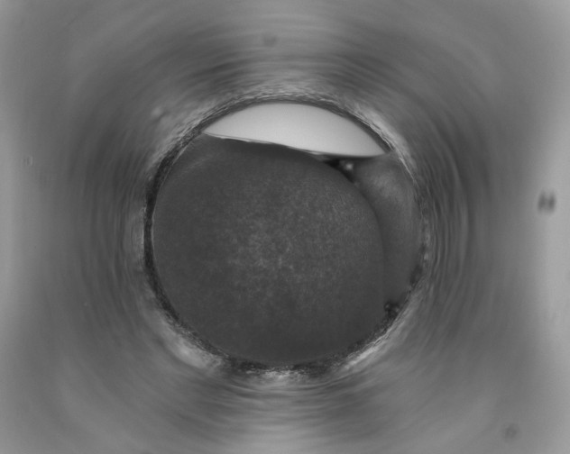 X0000091460493200709061759