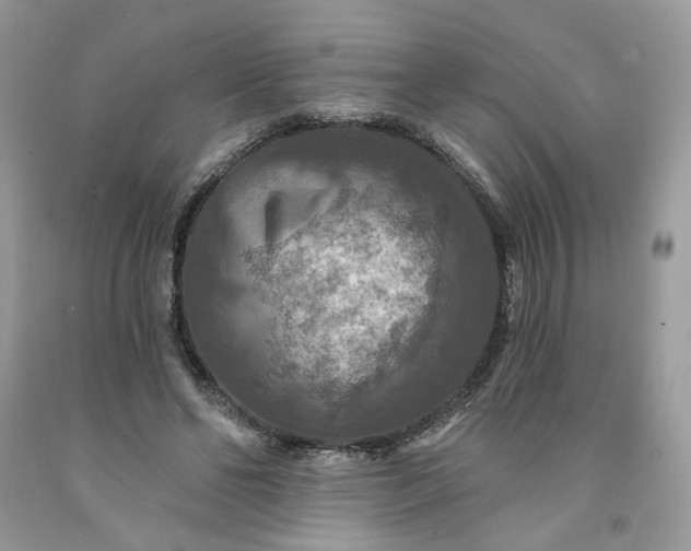X0000091460494200709061759