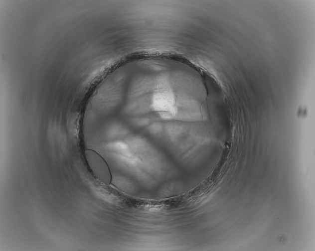 X0000091460495200709061759