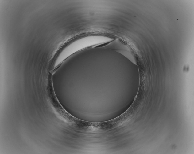 X0000091460496200709061759