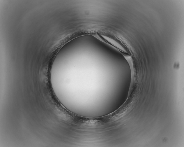 X0000091460497200709061759