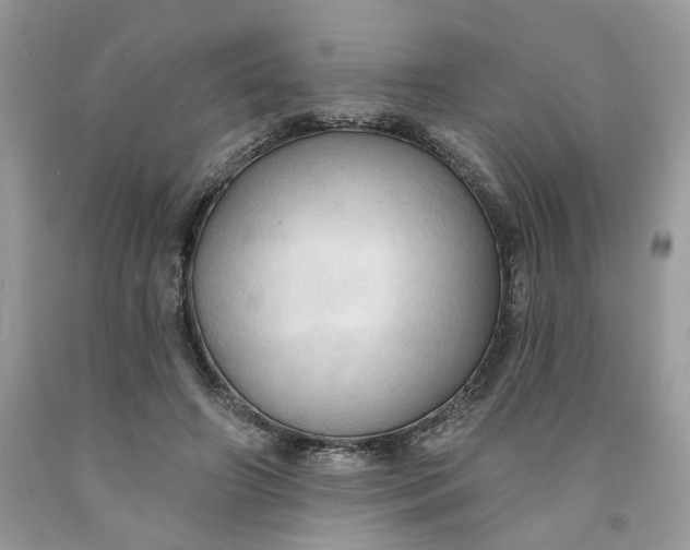 X0000091460498200709061759
