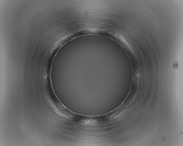X0000091460500200709061759