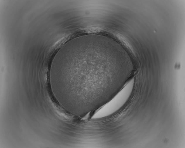 X0000091460501200709061759