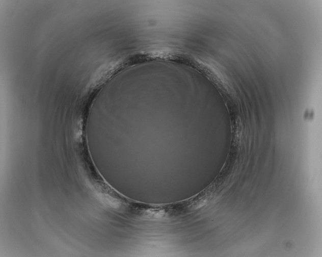 X0000091460502200709061759
