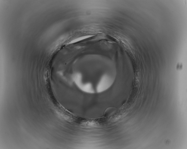 X0000091460503200709061759