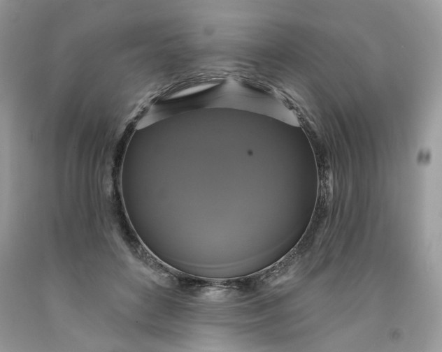 X0000091460504200709061759