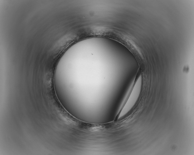 X0000091460505200709061759