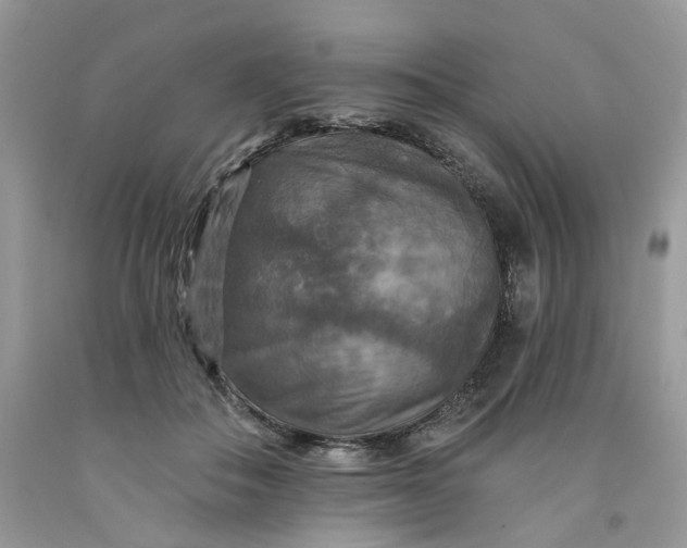 X0000091460506200709061759