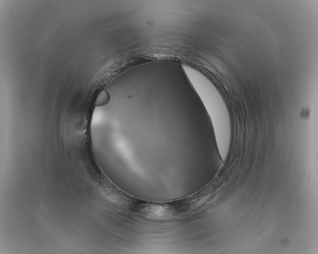 X0000091460507200709061759