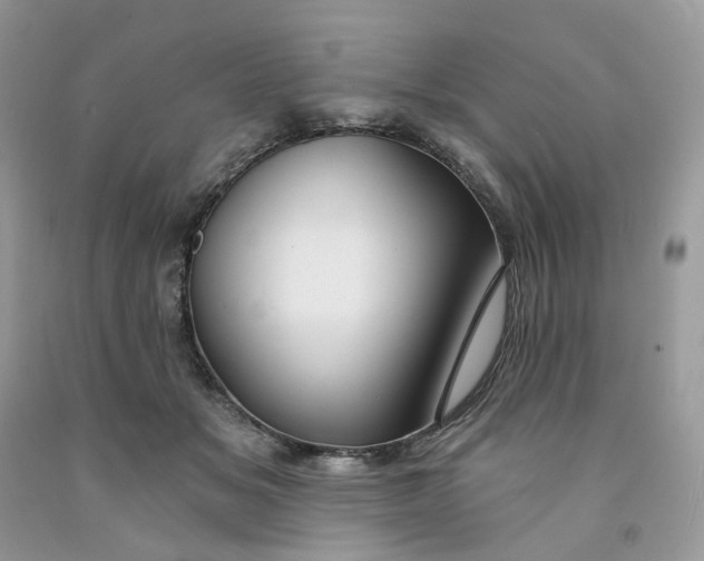 X0000091460509200709061759