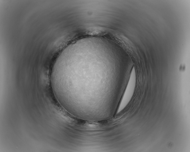 X0000091460510200709061759