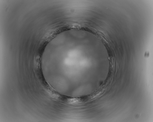 X0000091460511200709061759