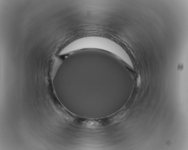 X0000091460512200709061759