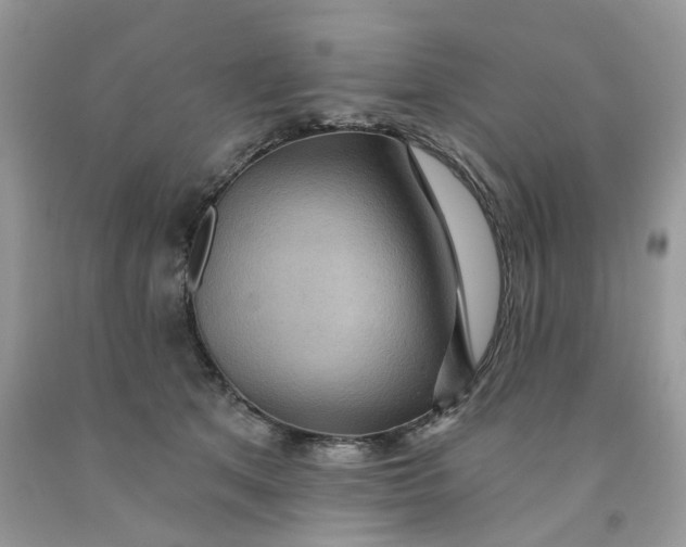 X0000091460513200709061759