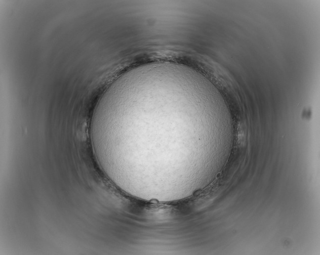 X0000091460514200709061759