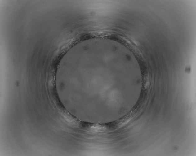 X0000091460515200709061759