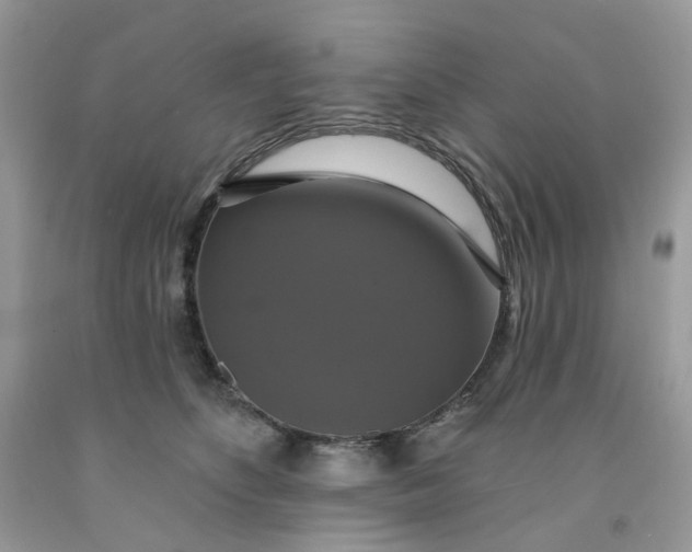 X0000091460516200709061759