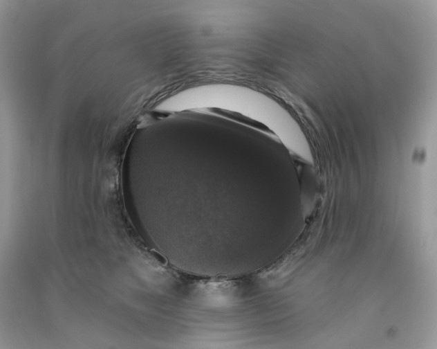 X0000091460517200709061759