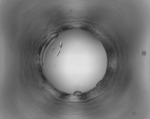 X0000091460518200709061759