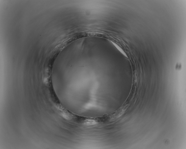 X0000091460519200709061759