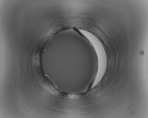 X0000091460520200709061759