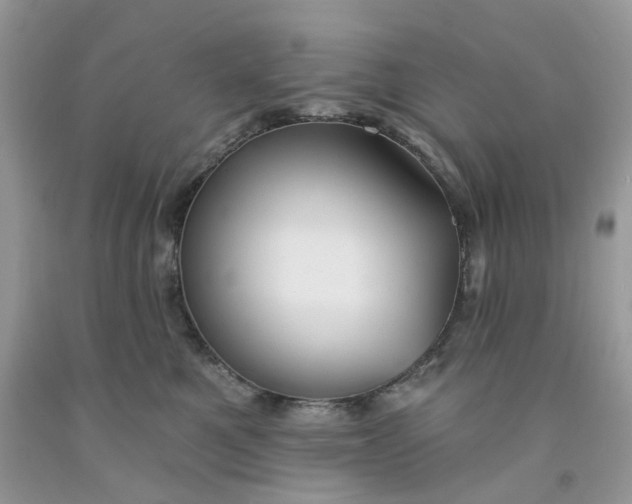 X0000091460521200709061759