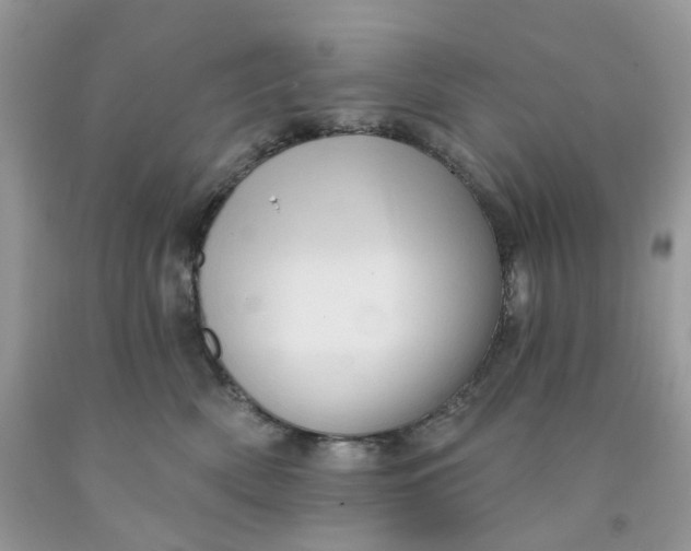 X0000091460522200709061759