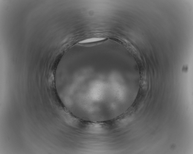 X0000091460523200709061759