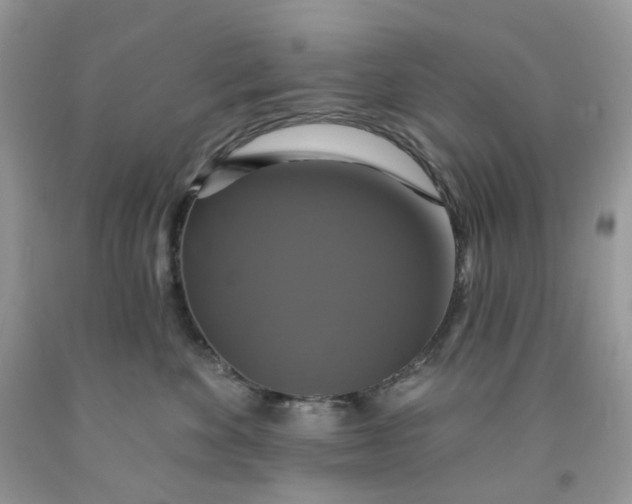 X0000091460524200709061759