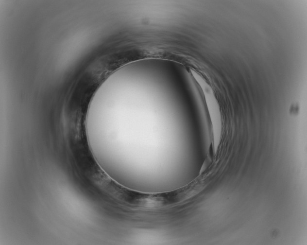 X0000091460525200709061759