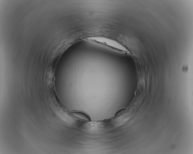 X0000091460526200709061759