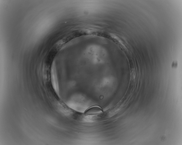 X0000091460527200709061759