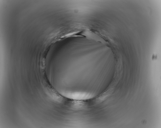 X0000091460528200709061759