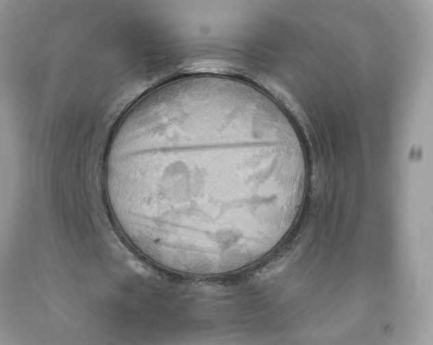 X0000091460529200709061758