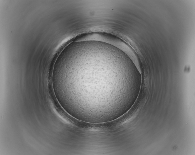 X0000091460530200709061758