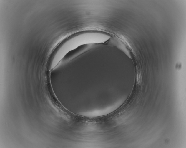 X0000091460531200709061758