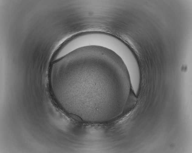 X0000091460532200709061758