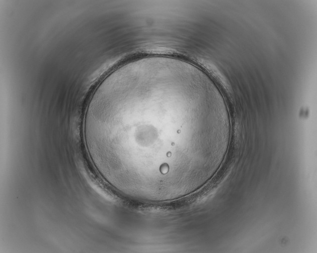 X0000091460533200709061758