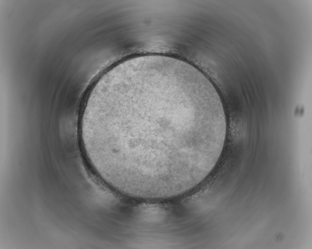 X0000091460534200709061758